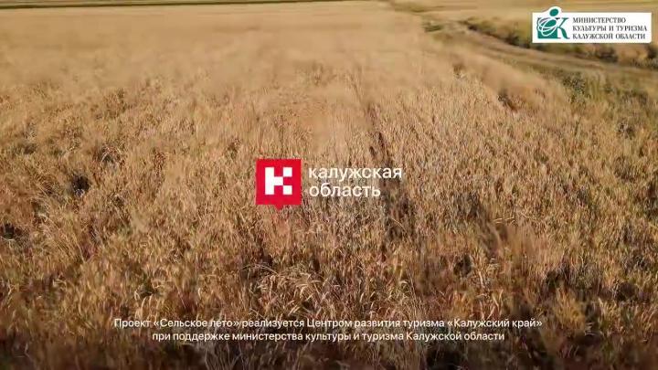 «Сельское лето 2026» приглашает жителей и гостей Калужской области