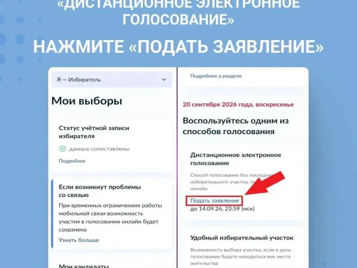Выборы в Госдуму пройдут с возможностью дистанционного голосования