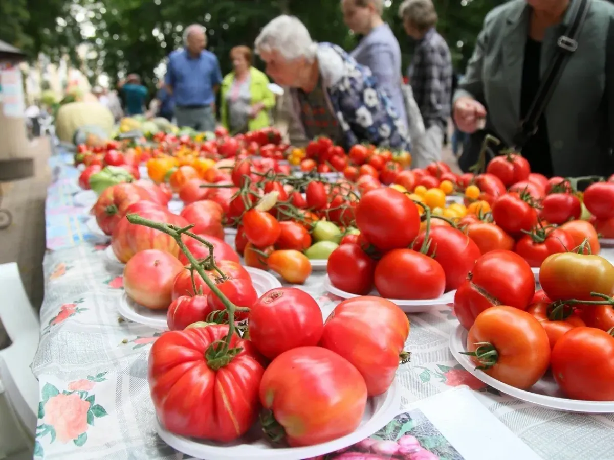 В Калуге прошла ежегодная выставка «Дары сада, огорода и личного подворья»