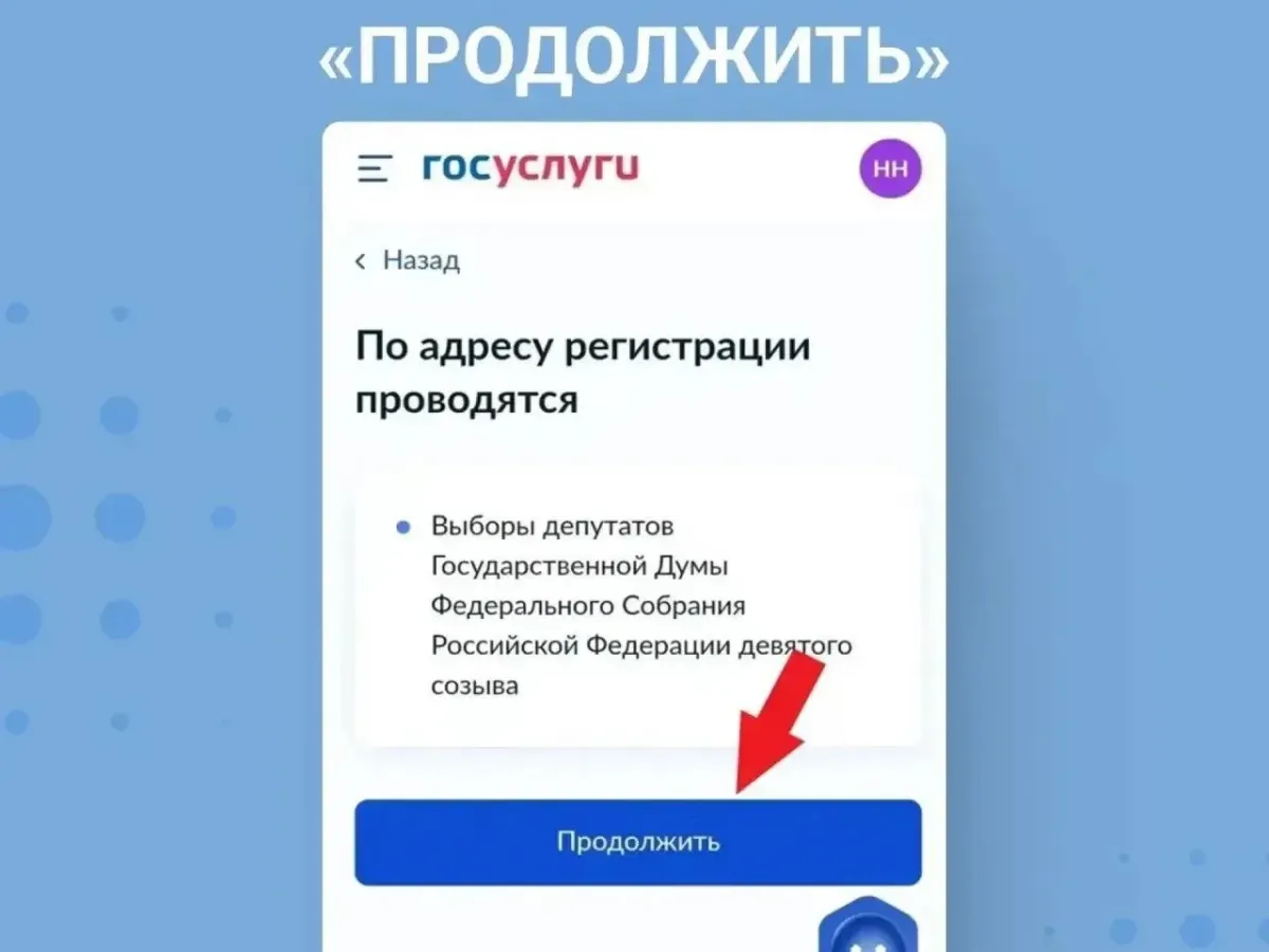 Выборы в Госдуму пройдут с возможностью дистанционного голосования