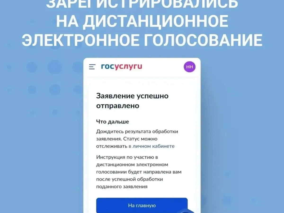 Выборы в Госдуму пройдут с возможностью дистанционного голосования