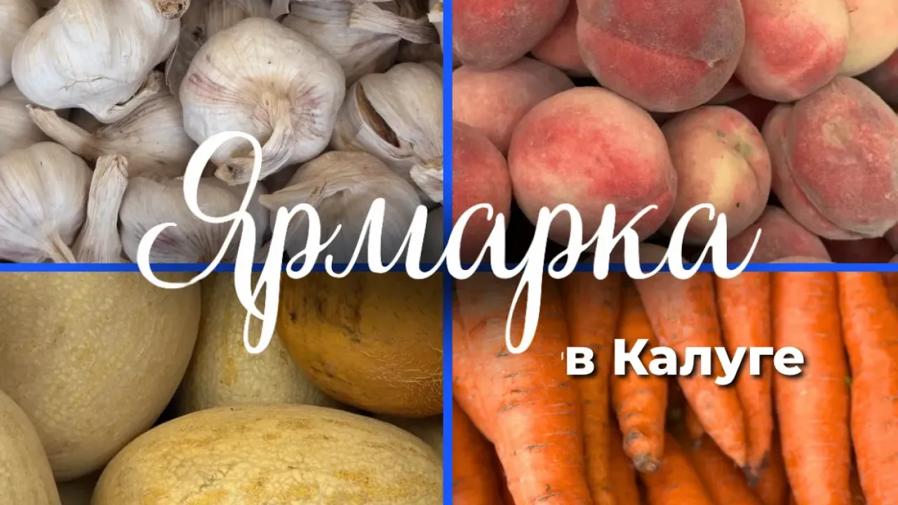 Традиционная ярмарка калужских производителей
