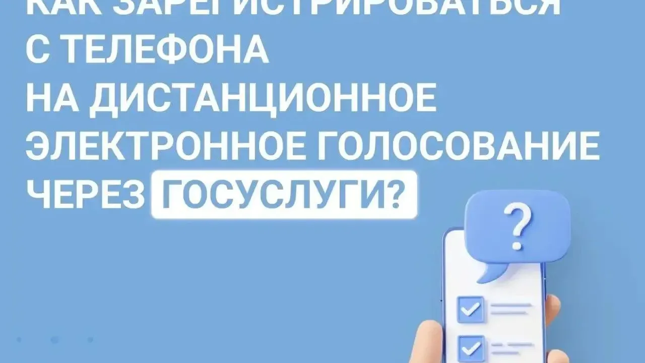 Выборы в Госдуму пройдут с возможностью дистанционного голосования