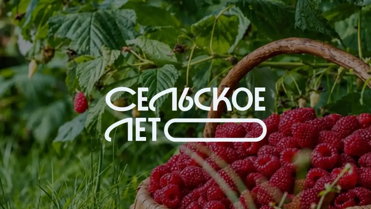 Летний семейный фестиваль 'Сельское лето' в деревне Торопово